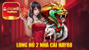 Long Hổ 2 Nhà Cái Hay88 - Khám Phá Thế Giới Cá Cược