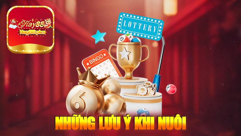 Những lưu ý khi nuôi lô song thủ khung 2 ngày