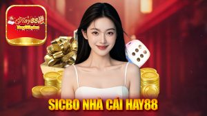 Sicbo Nhà Cái Hay88 - Cuộc Chinh Phục Thú Vị