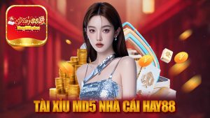 Tải xỉu Md5 nhà cái Hay88 - Cách Chơi Và Những Điều Cần Biết